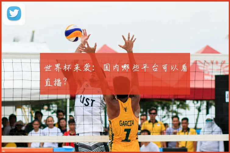 世界杯来袭：国内哪些平台可以看直播？